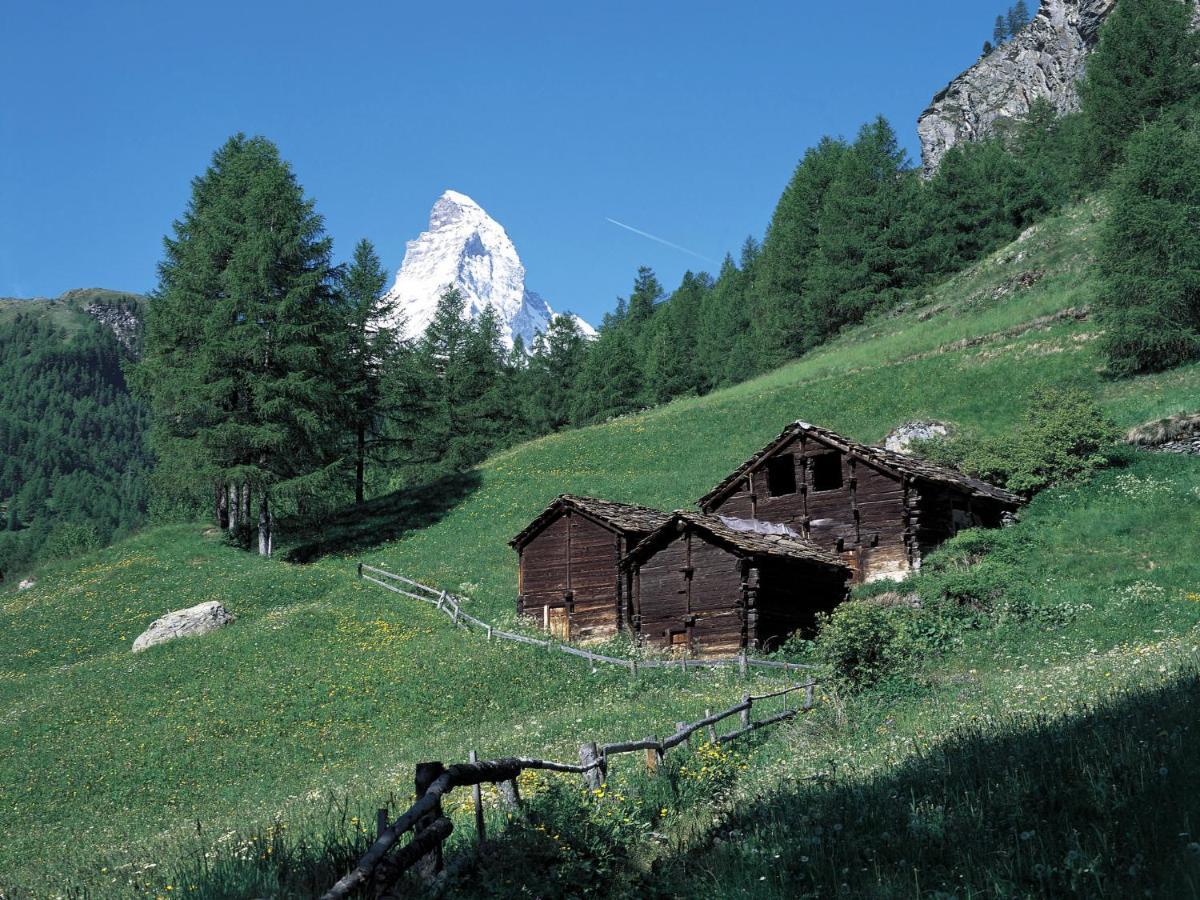Apartment Richemont By Interhome Zermatt Buitenkant foto